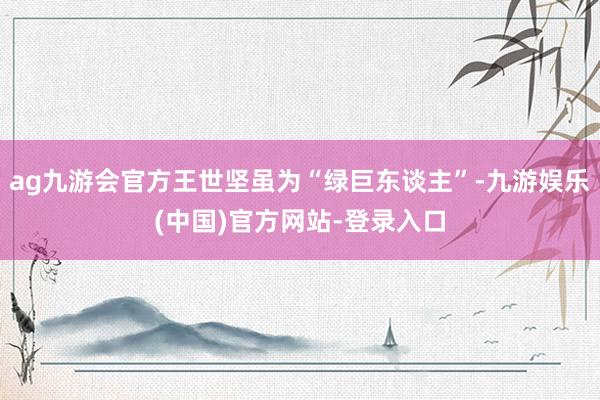 ag九游会官方王世坚虽为“绿巨东谈主”-九游娱乐(中国)官方网站-登录入口