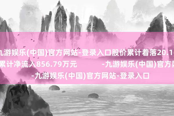 九游娱乐(中国)官方网站-登录入口股价累计着落20.16%；北向资金累计净流入856.79万元            -九游娱乐(中国)官方网站-登录入口