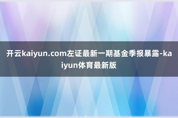 开云kaiyun.com左证最新一期基金季报暴露-kaiyun体育最新版