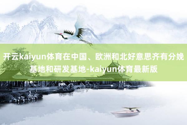 开云kaiyun体育在中国、欧洲和北好意思齐有分娩基地和研发基地-kaiyun体育最新版