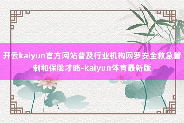 开云kaiyun官方网站普及行业机构网罗安全救急管制和保险才略-kaiyun体育最新版